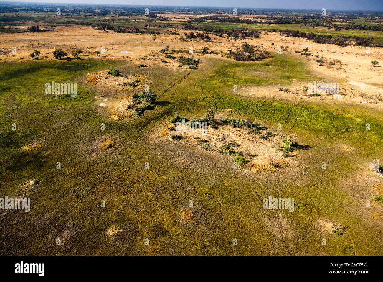 Marais verts et marécages, prairies, rivière, vue aérienne, delta d'Okavango, Par hélicoptère, Botswana, Afrique australe, Afrique Banque D'Images