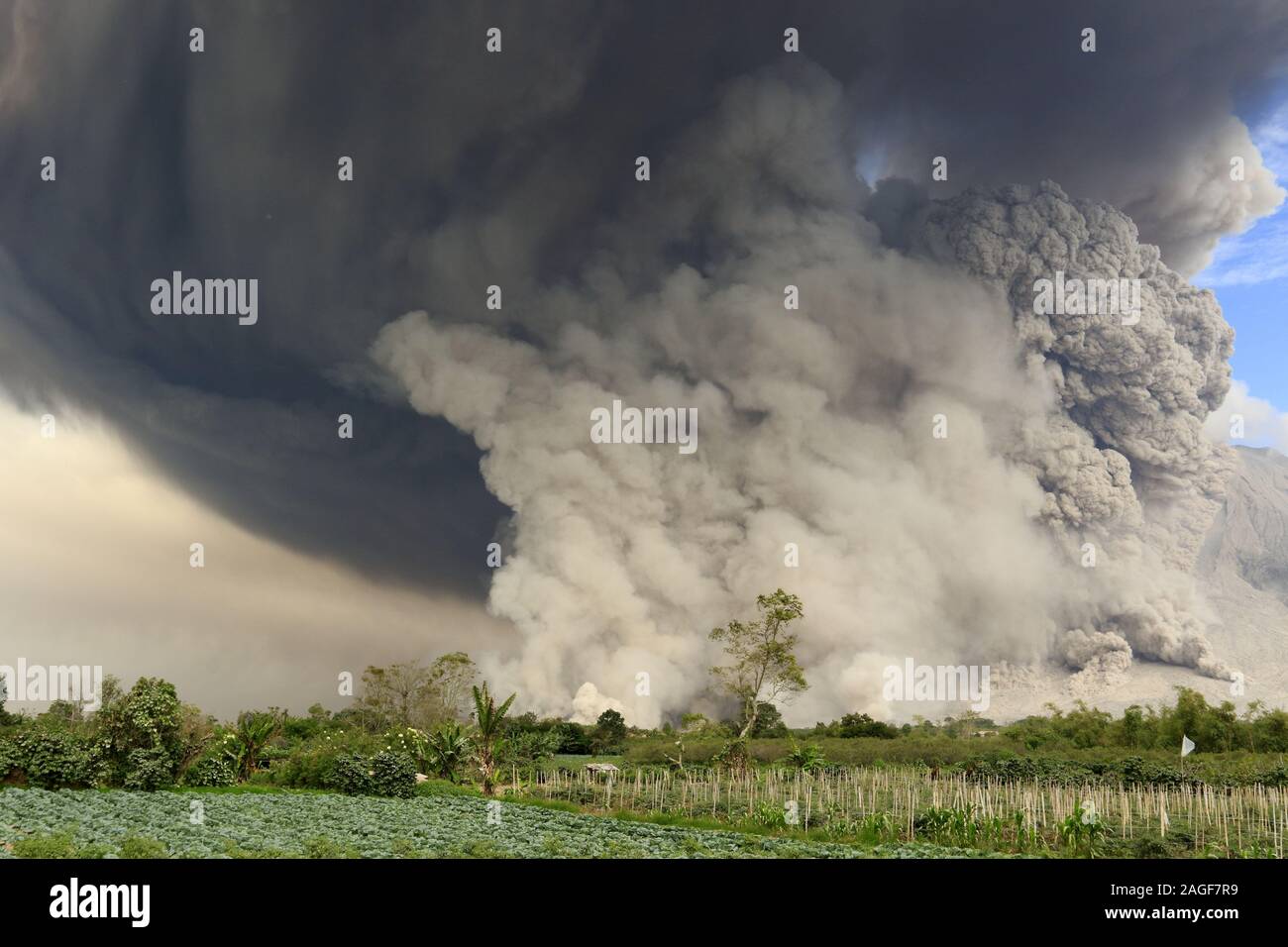 Volcan Sinabung à Sumatra Banque D'Images