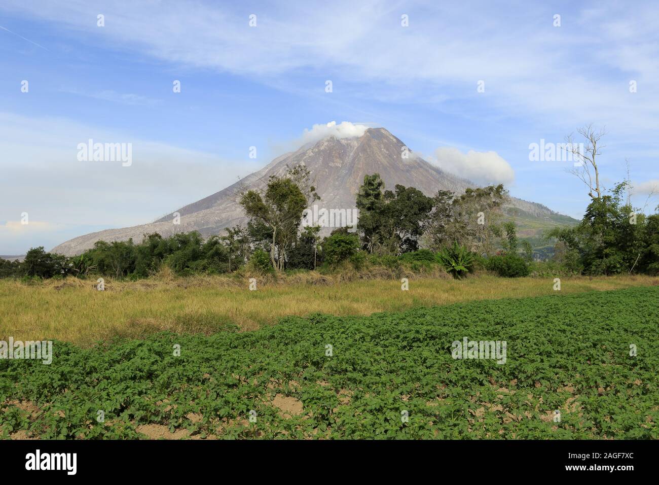 Volcan Sinabung à Sumatra Banque D'Images