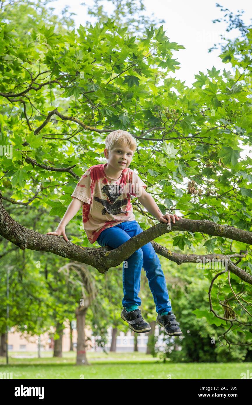 Beaux jeunes enfants suspendue à un arbre dans l'été Banque D'Images