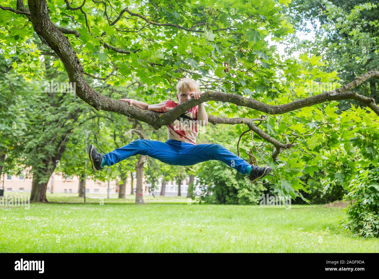 Beaux jeunes enfants suspendue à un arbre dans l'été Banque D'Images