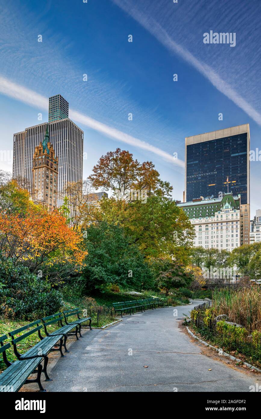 Feuillage d'automne, Central Park, Manhattan, New York, USA Banque D'Images