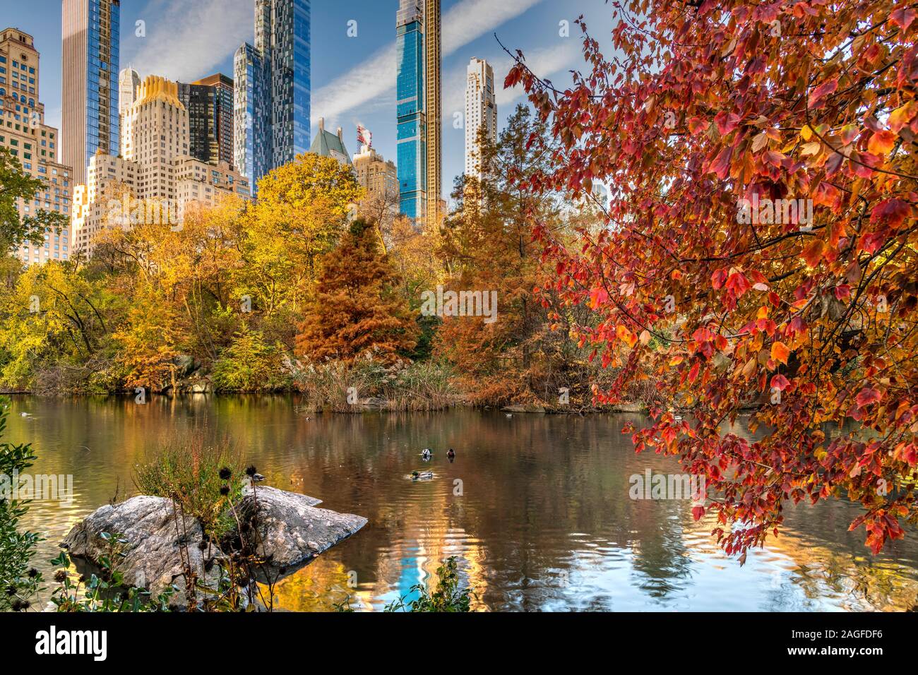Feuillage d'automne, Central Park, Manhattan, New York, USA Banque D'Images