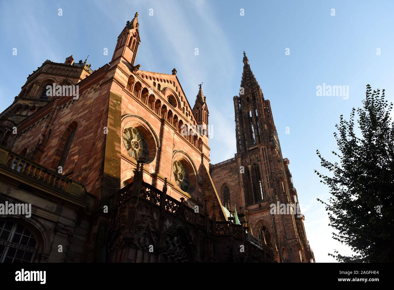La cathédrale de Strasbourg ou la cathédrale de Notre-Dame de Strasbourg à Strasbourg, France. Banque D'Images
