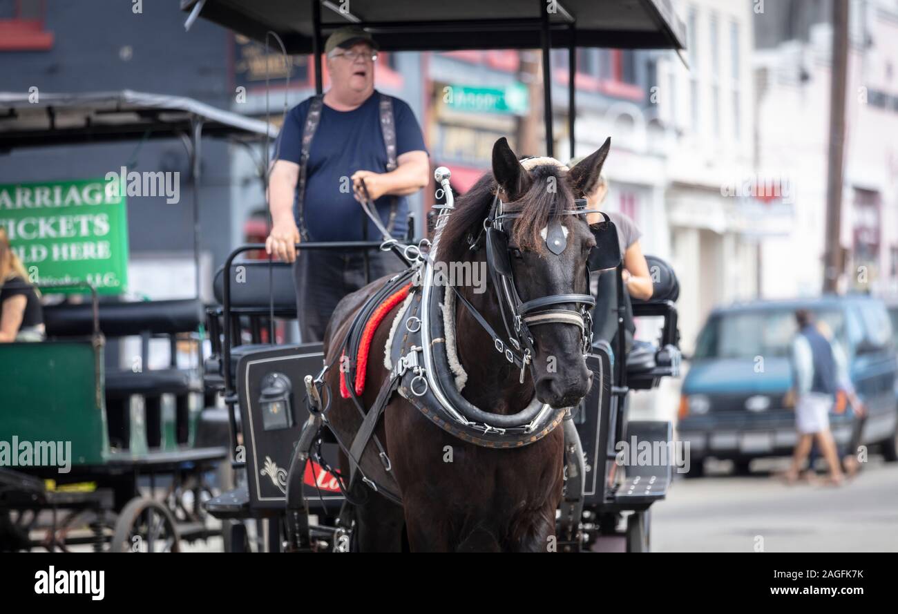 Charleston, South Carolina, United States, novembre 2019, Charleston voitures à cheval Banque D'Images