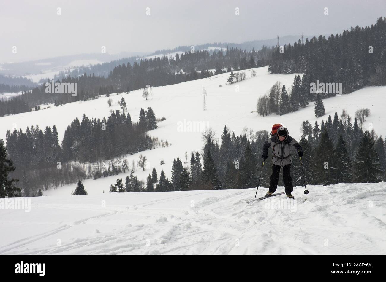 Skieur d'arrière-pays matures sur le sentier en montagnes Gorce, Pologne Banque D'Images