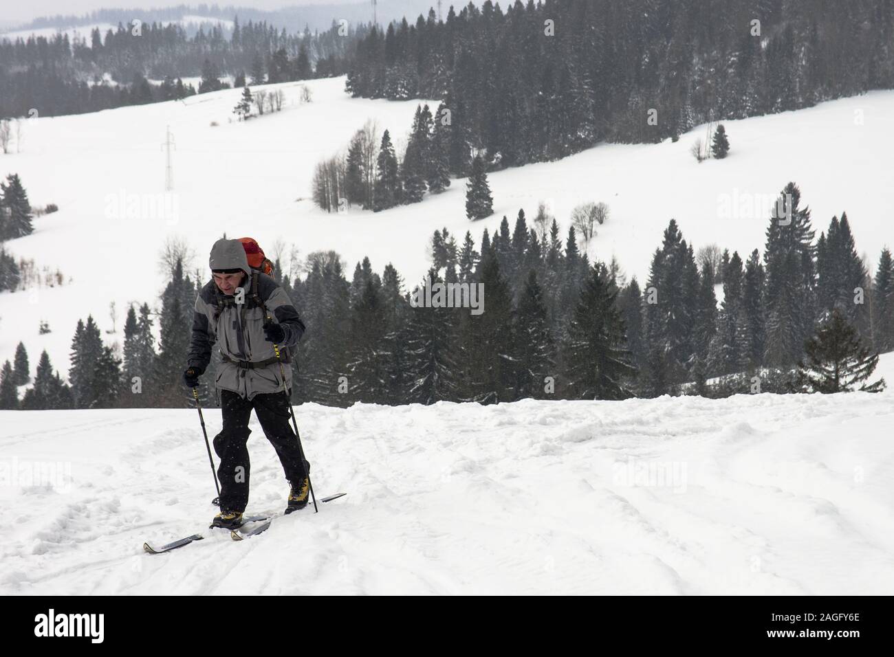 Skieur d'arrière-pays matures sur le sentier en montagnes Gorce, Pologne Banque D'Images