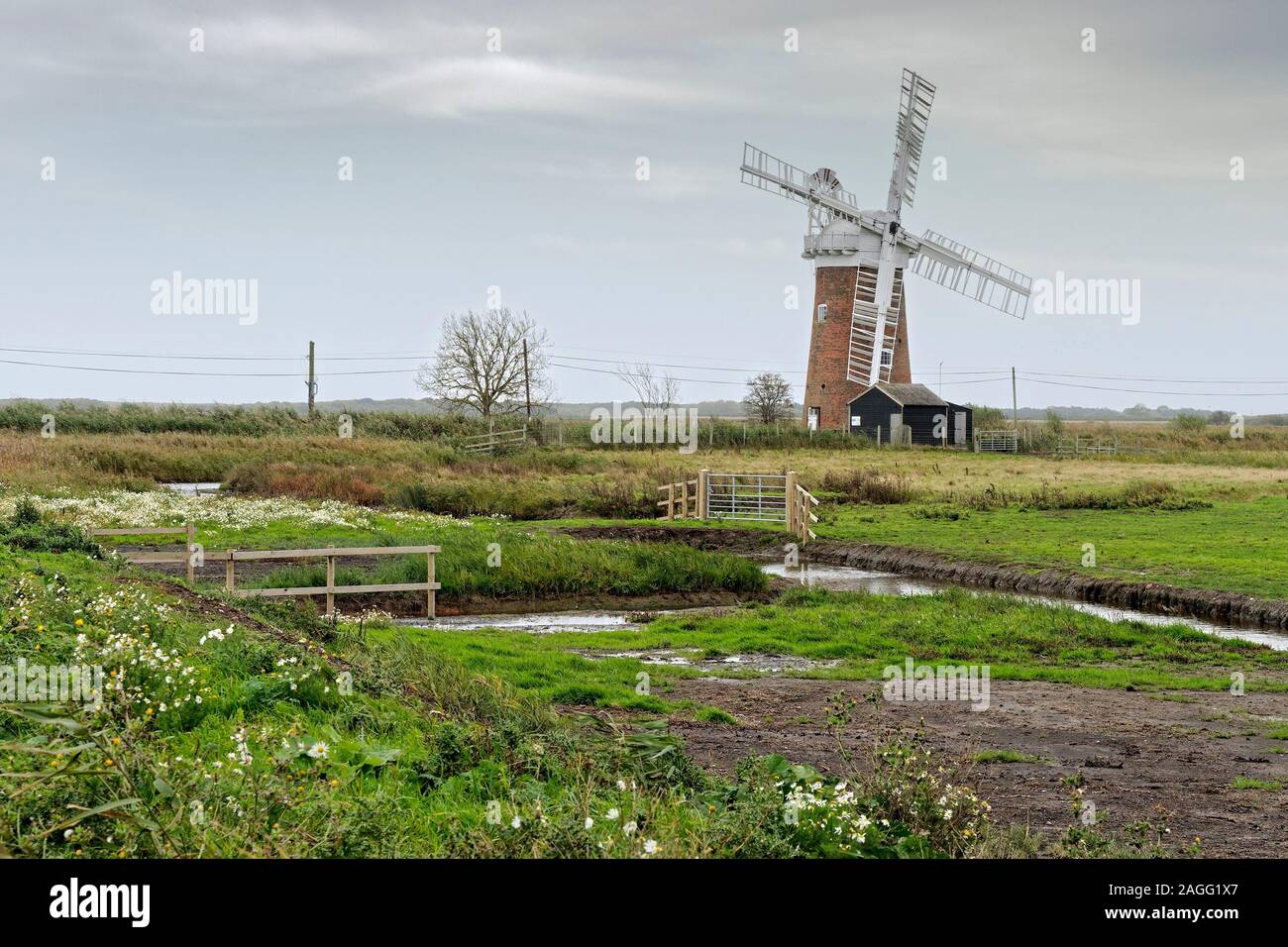 Vue sur les marais de Horsey, Norfolk vers l'emblématique Horsey pompe éolienne 19e siècle un moulin à pomper de l'eau de drainage du marais. Banque D'Images