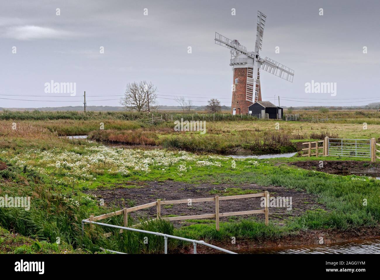 Vue sur les marais de Horsey, Norfolk vers l'emblématique Horsey pompe éolienne 19e siècle un moulin à pomper de l'eau de drainage du marais. Banque D'Images