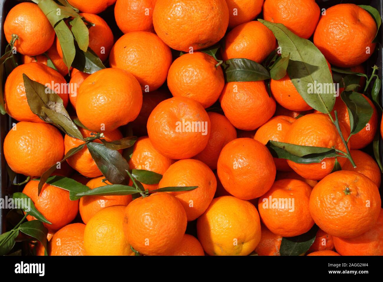 Les mandarins à vendre sur l'épicerie's Bank Banque D'Images