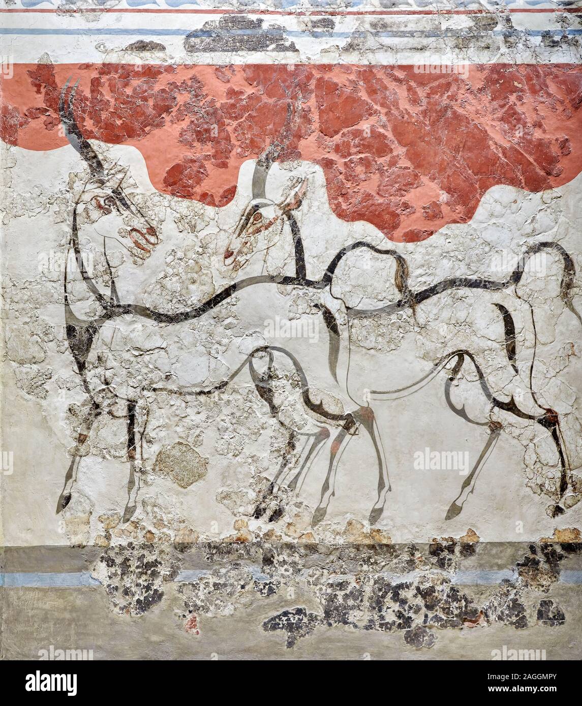 Monoan Antilope 'Fresco' Wall painting de Akrotiri, Santorin. Musée archéologique national d'Athènes. 17th-16th 100 BC. L'Antilope fresc Banque D'Images