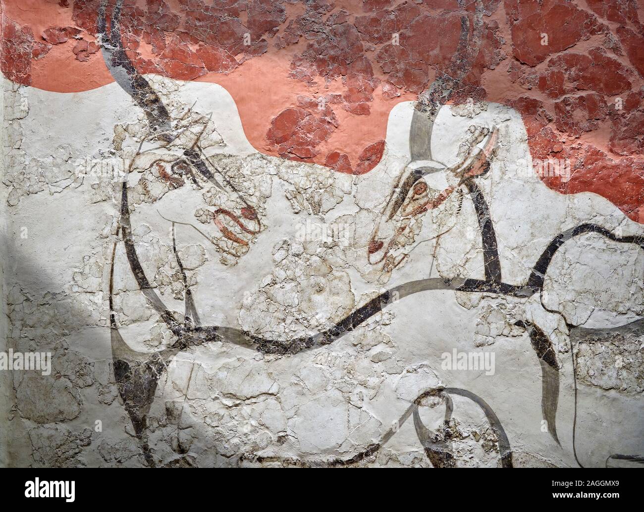 Monoan Antilope 'Fresco' Wall painting de Akrotiri, Santorin. Musée archéologique national d'Athènes. 17th-16th 100 BC. L'Antilope fresc Banque D'Images
