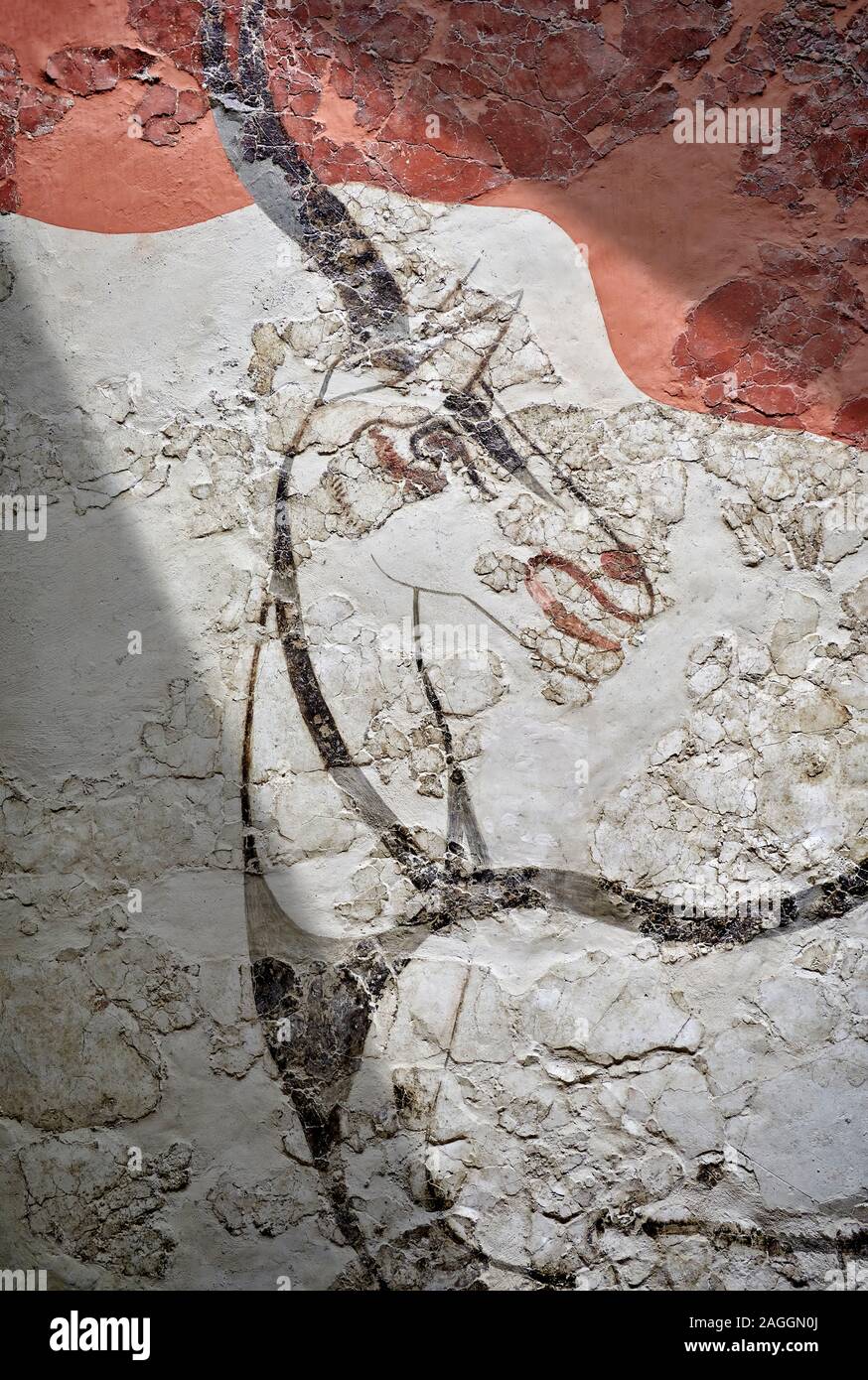 Monoan Antilope 'Fresco' Wall painting de Akrotiri, Santorin. Musée archéologique national d'Athènes. 17th-16th 100 BC. L'Antilope fresc Banque D'Images