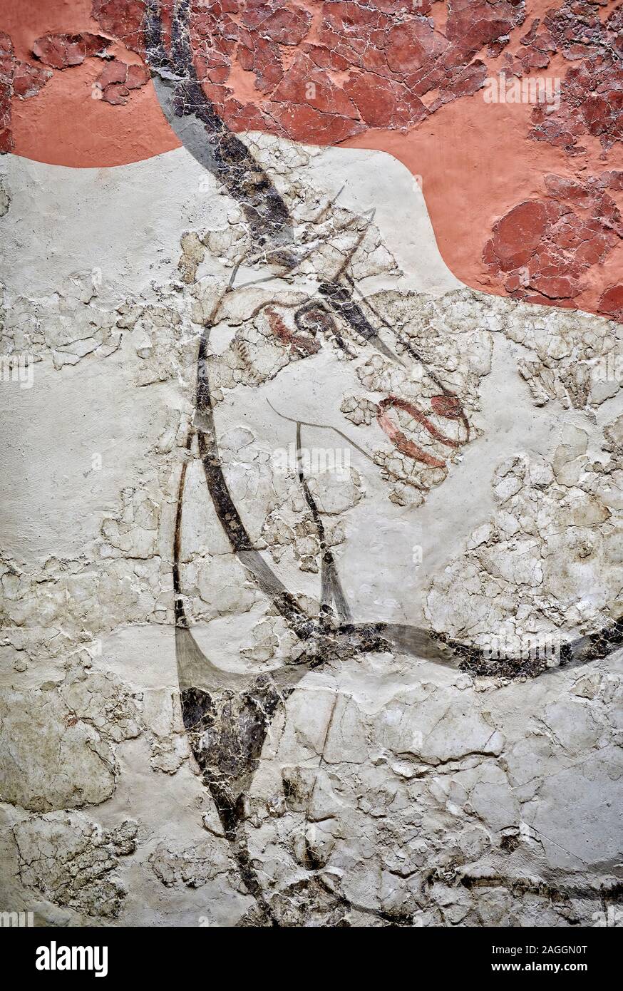 Monoan Antilope 'Fresco' Wall painting de Akrotiri, Santorin. Musée archéologique national d'Athènes. 17th-16th 100 BC. L'Antilope fresc Banque D'Images
