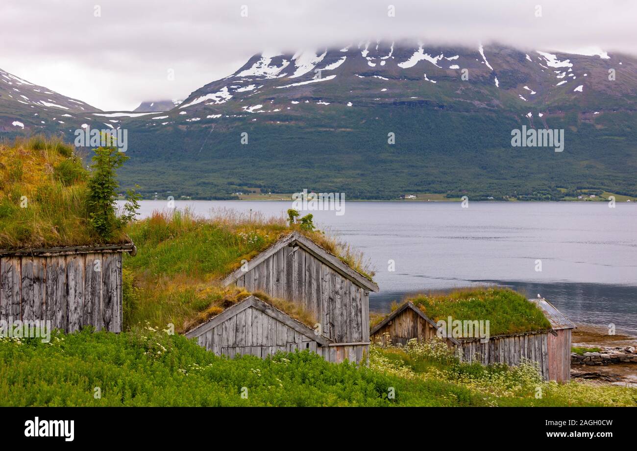 L'ÎLE DE KVALØYA, STRAUMSBUKTA, comté de Troms, NORVÈGE - musée historique village de Straumen Gård avec toit gazon bâtiments. Toit de chaume est traditionnel. Banque D'Images