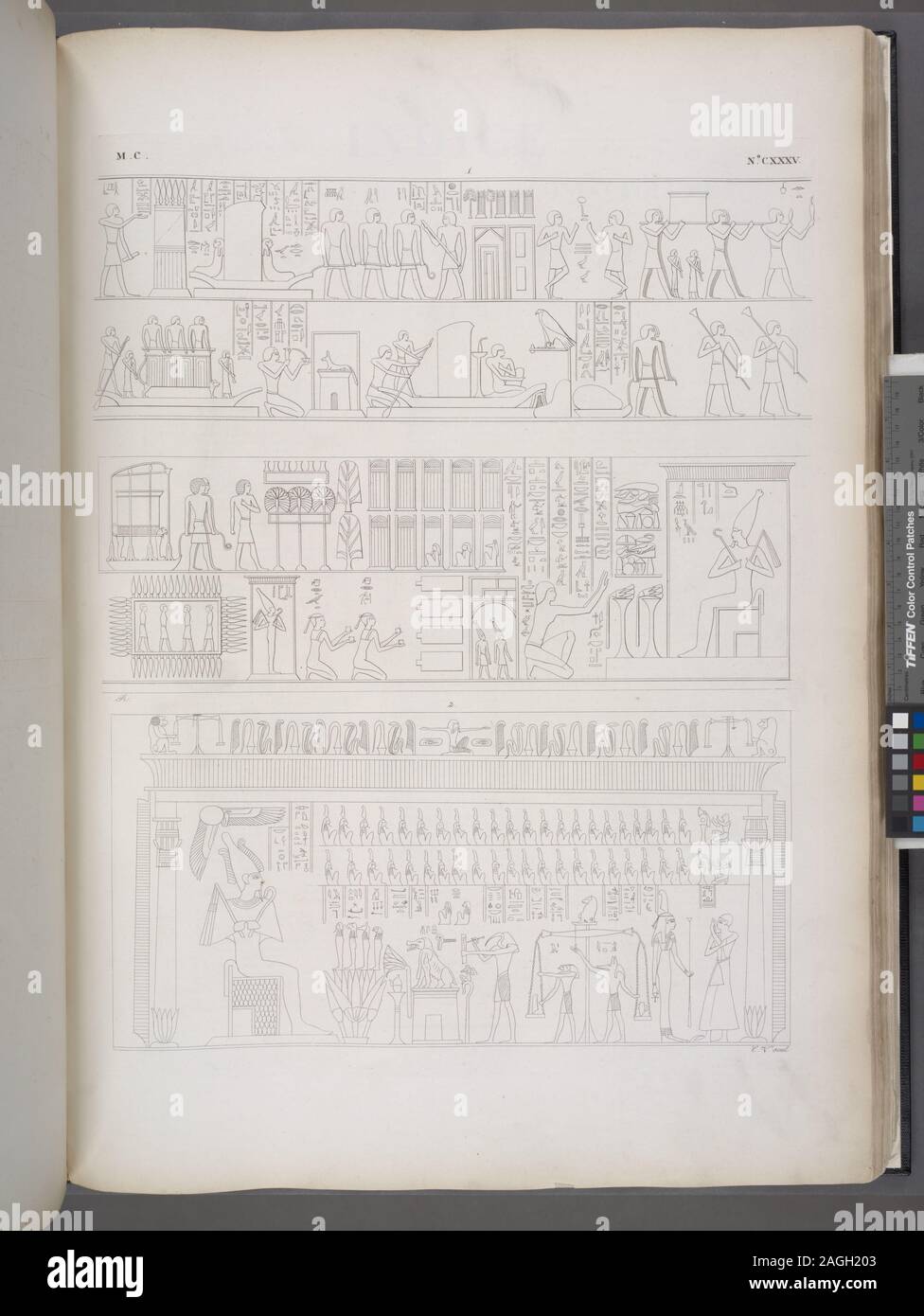 Mots-clés : Underworld, pesée le coeur ; l'équilibre ; Fils d'Horus ; arrêt scènes. ; La Casa di Osiride [Osiris]. - Il Tribunale di Osiride [Osiris] nell'Misericordia. Banque D'Images