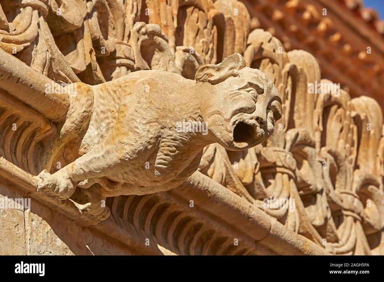 Close up détaillées de créatures fantastiques sur la 'Casa de la Conchas' à Salamanque Banque D'Images