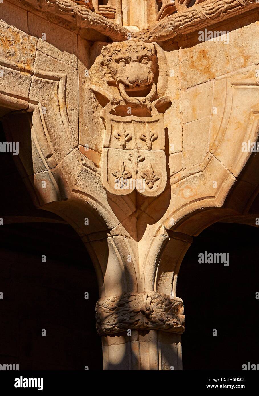 Close up of lion sculpté à l'angle de la 'Casa de la Conchas' à Salamanque Banque D'Images