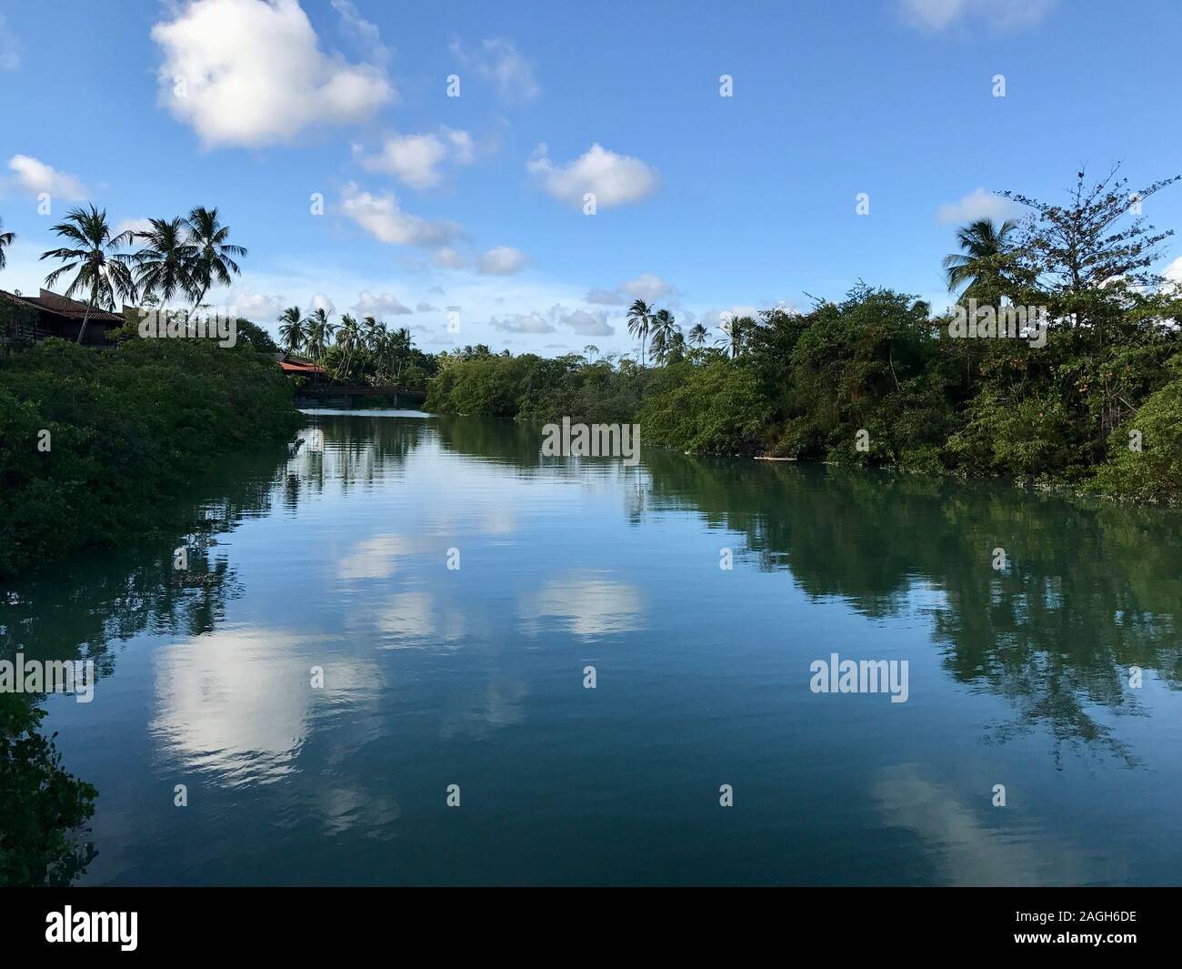 Réflexions dans l'eau à Maragogi Plage, état d'Alagoas, Brésil Banque D'Images