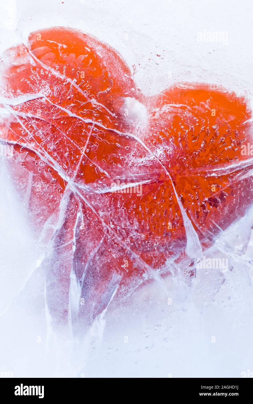Un cœur rouge entre l'emprise de la glace Banque D'Images