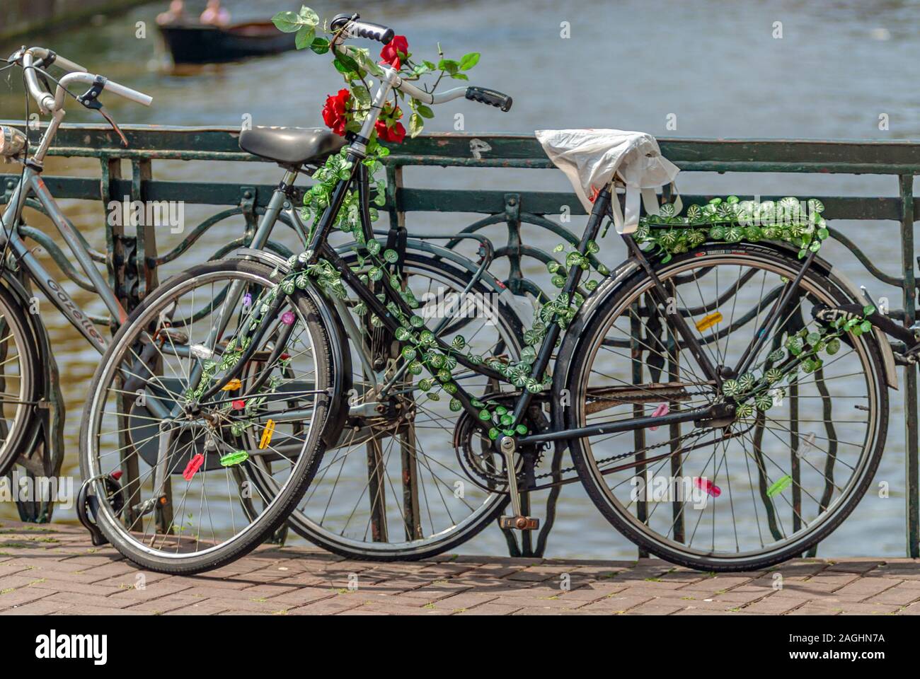 Un vieux vélo avec des roses garées sur un pont dans la ville intérieure d'Amsterdam, Pays-Bas Banque D'Images
