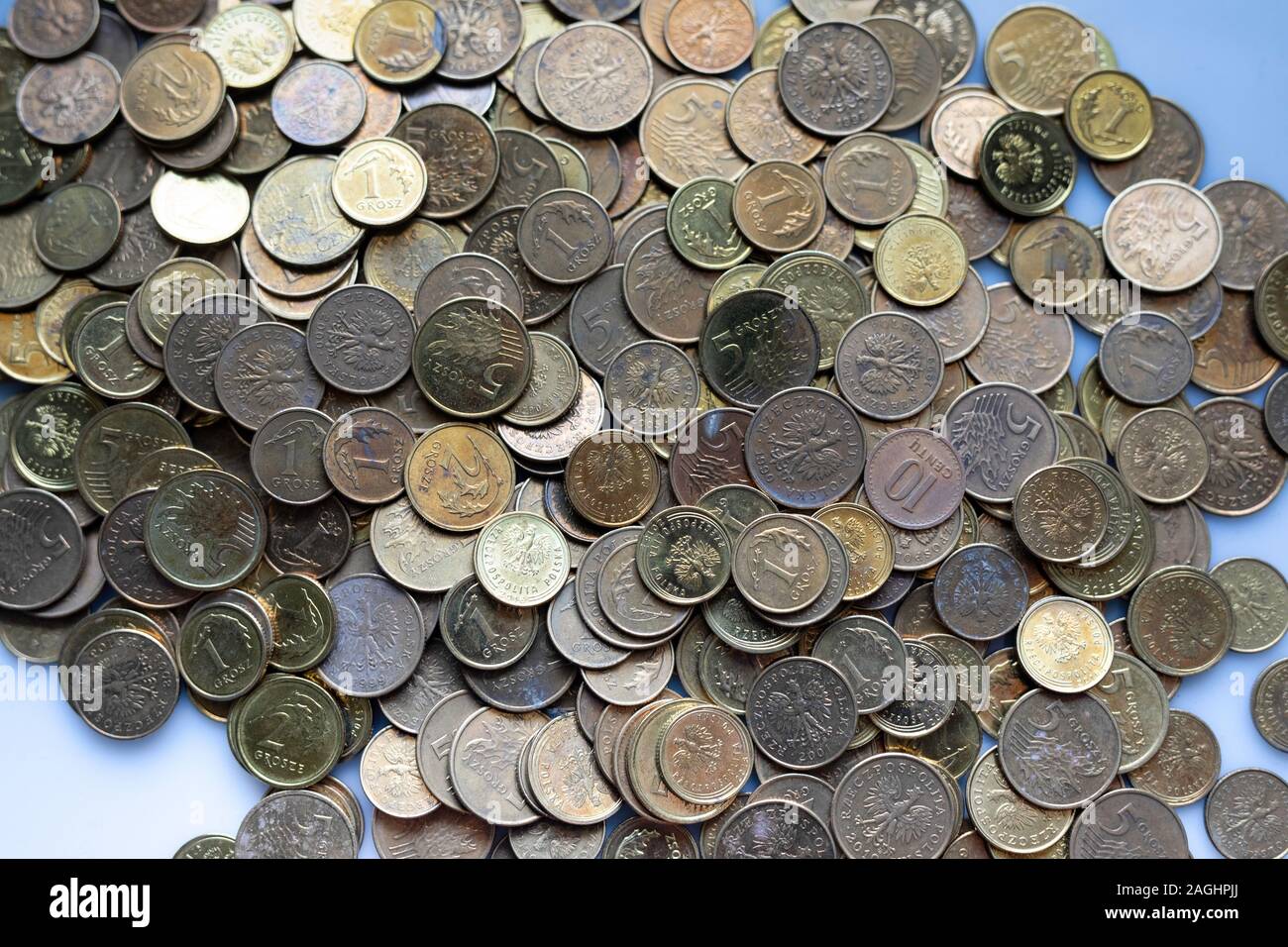 Pièces de monnaie, monnaie polonaise, l'épargne dans le pot. Banque D'Images