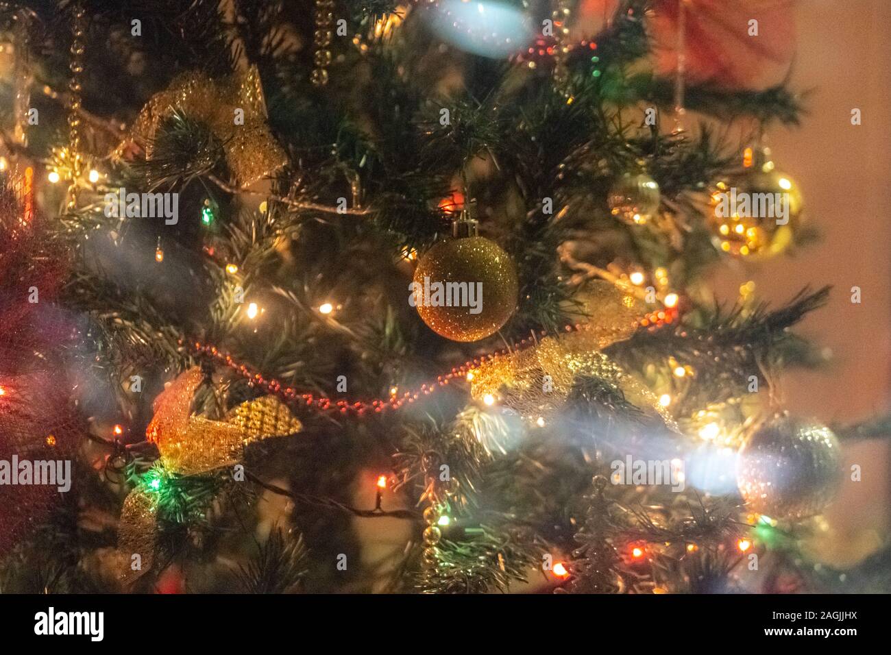 Arrière-plan de l'arbre de Noël, Noël et de la direction générale de l'épinette Banque D'Images