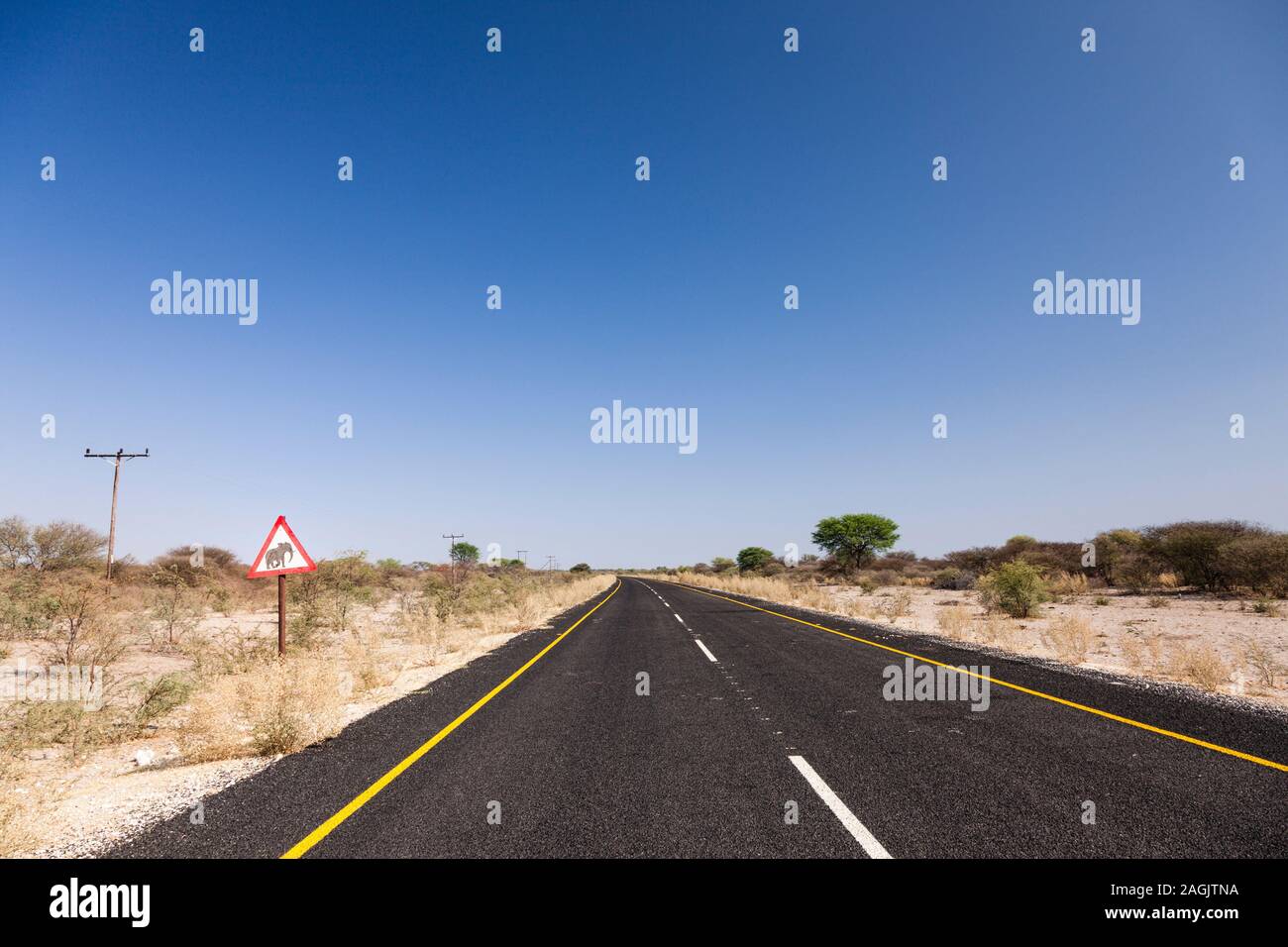 Longue route goudronneuse avec panneau animal, dans le désert de Kalahari près de Rakops, district central, Botswana, Afrique australe, Afrique Banque D'Images