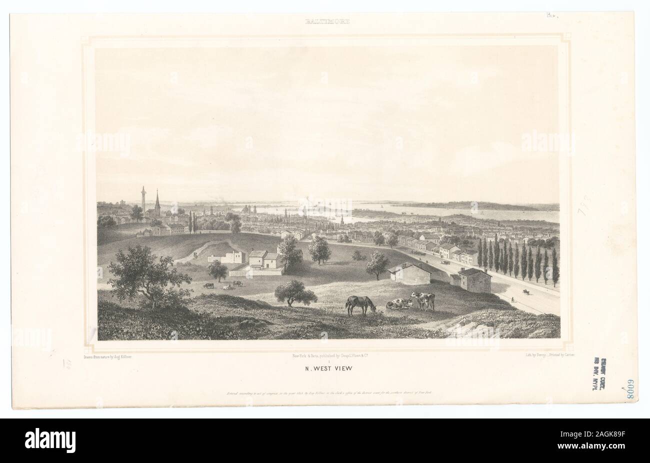 Les numéros de volume donné ici se reporter à l'original de la publication des numéros de volume, pas de la publication de l'Lossing Printmakers : Francesco Bartolozzi, Peter S. Duval, Fenner, Sears & Co., H.B. Hall, Peter Maverick et James Smillie. Titre de page de titre de l'extra-volume illustré. EM6008 Imprimé par Cattier. ; N. vue ouest [de] Baltimore. Banque D'Images