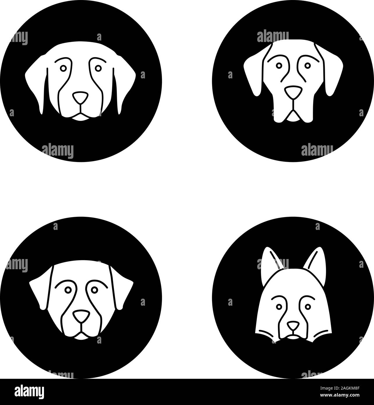 Chiens races glyphe icons set. Golden Retriever, dogue, Bernese Mountain Dog, Shetland Sheepdog. Vector silhouettes blanches illustrations en noir ci Illustration de Vecteur