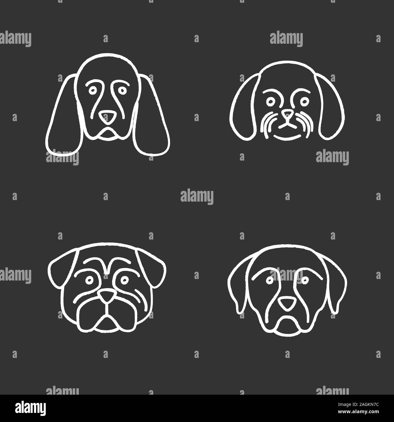 Craie chiens races icons set. Cocker Spaniel, Shih Tzu, pug, Rottweiler. Illustrations vectorielles chalkboard Illustration de Vecteur