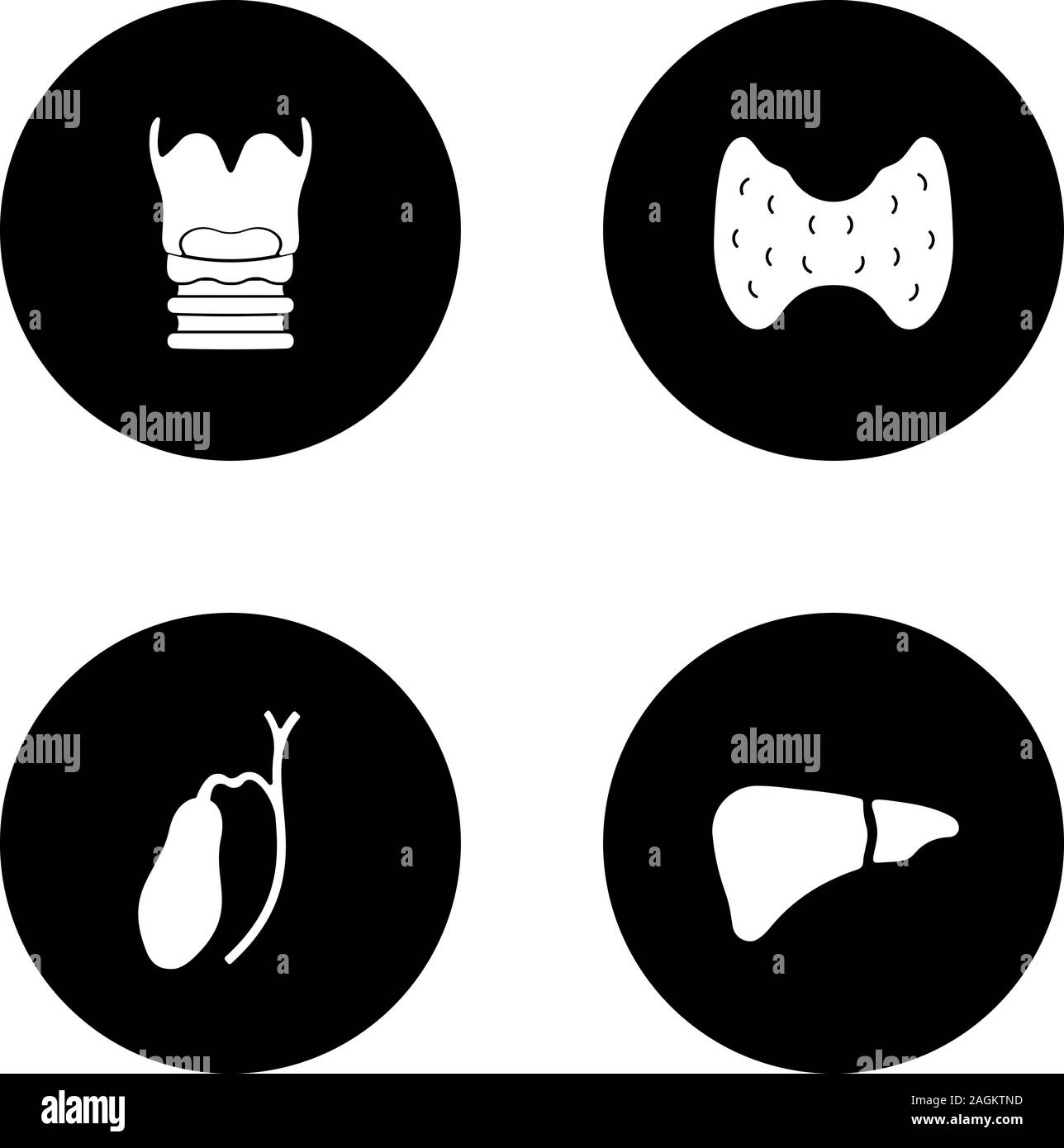 Les organes internes glyphe icons set. Le larynx, la thyroïde, le foie, la vésicule biliaire. Vector silhouettes blanc illustrations de cercles noirs Illustration de Vecteur