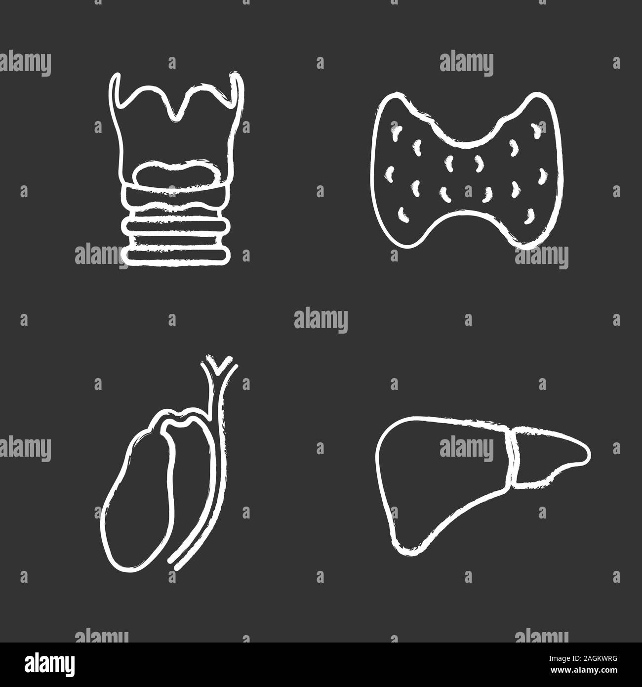 Les organes internes de la craie icons set. Le larynx, la thyroïde, le foie, la vésicule biliaire. Illustrations vectorielles chalkboard Illustration de Vecteur