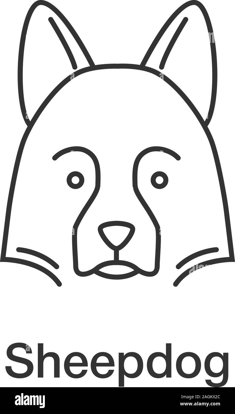 Shetland Sheepdog icône linéaire. Fine ligne illustration. Chien de troupeaux. Symbole de contour. Dessin vectoriel aperçu isolés Illustration de Vecteur