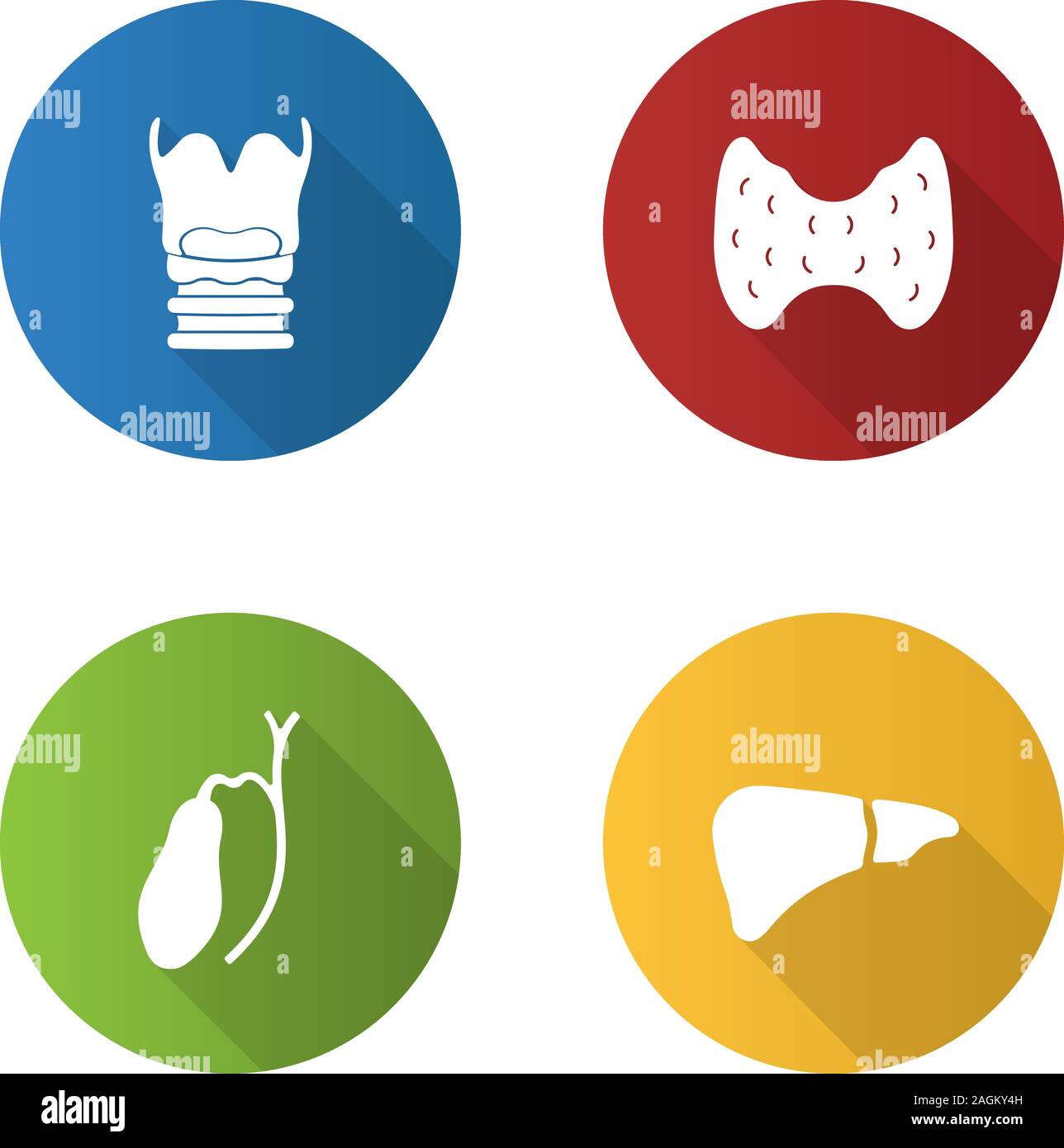 Les organes internes modèle plat long shadow glyphe icons set. Le larynx, la thyroïde, le foie, la vésicule biliaire. Silhouette Vector illustration Illustration de Vecteur