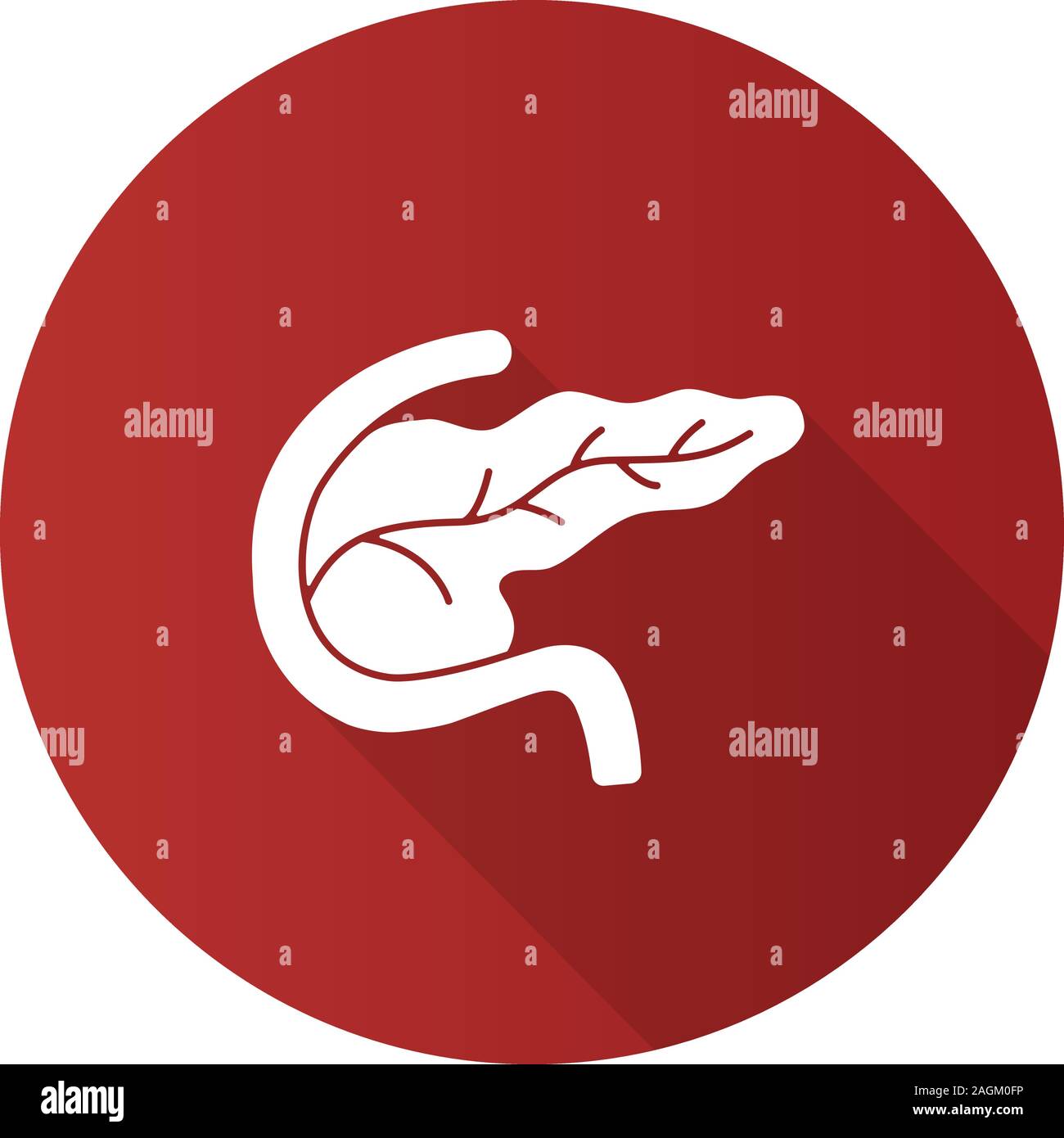 Le pancréas et le duodénum modèle plat, ombre portée de l'icône de glyphe. Appareil digestif et des glandes endocrines. Silhouette Vector illustration Illustration de Vecteur