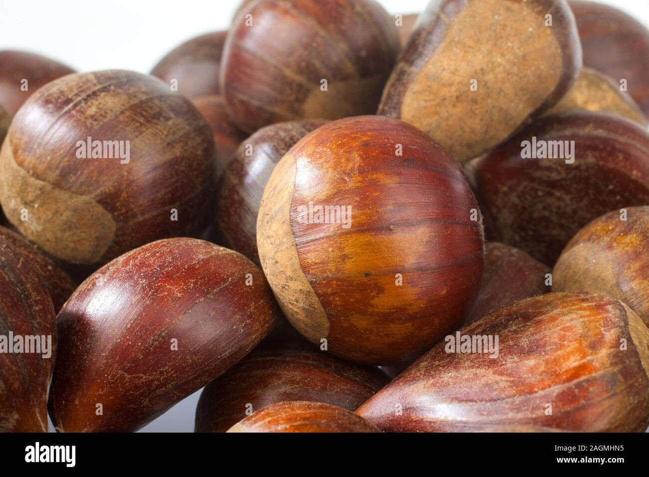 Plan macro sur chestnut mature sur pile Banque D'Images
