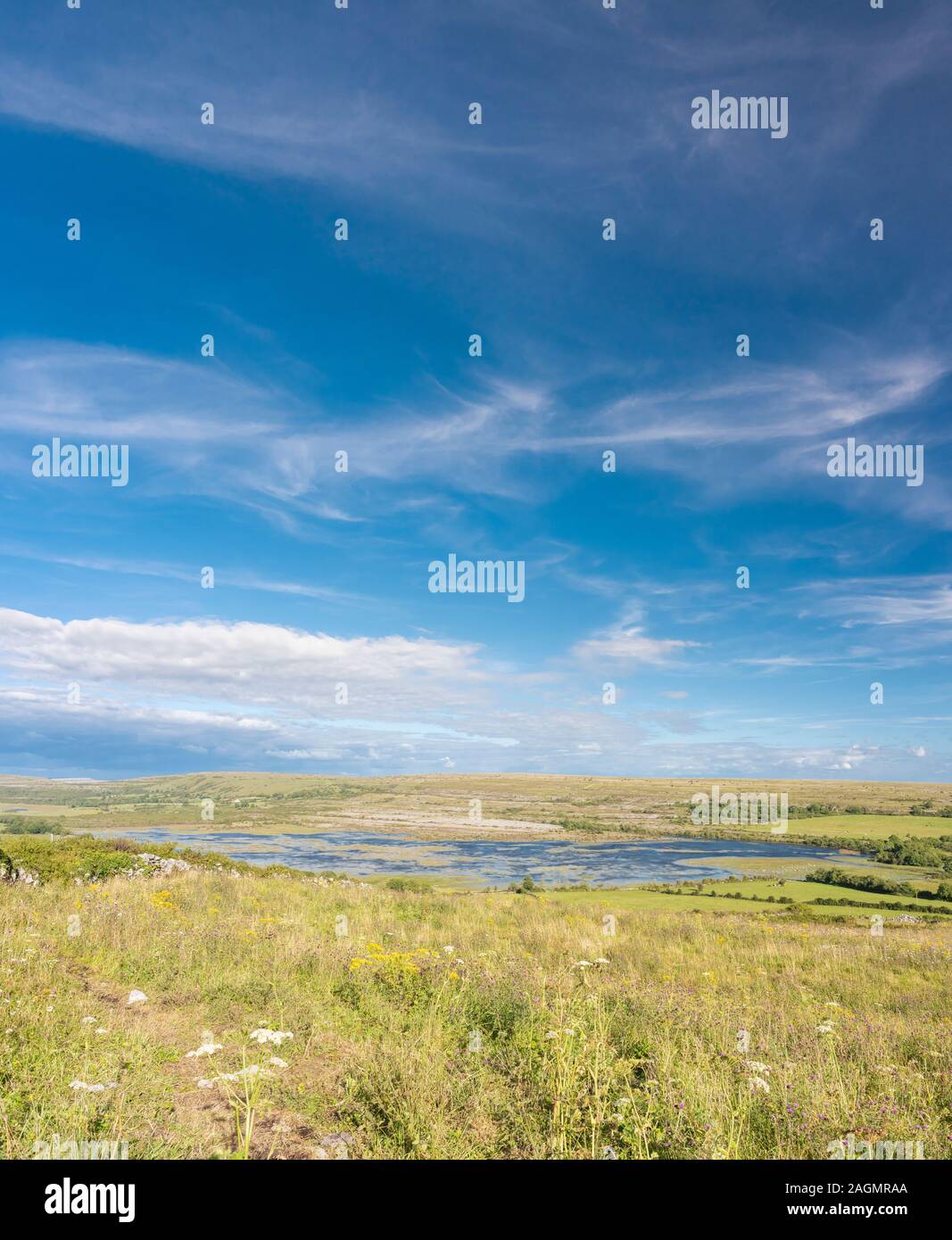 La dépression de Carran, une énorme doline ou une dépression karstique avec un turlough (lac éphémère), Le Burren, Comté de Clare, Irlande Banque D'Images