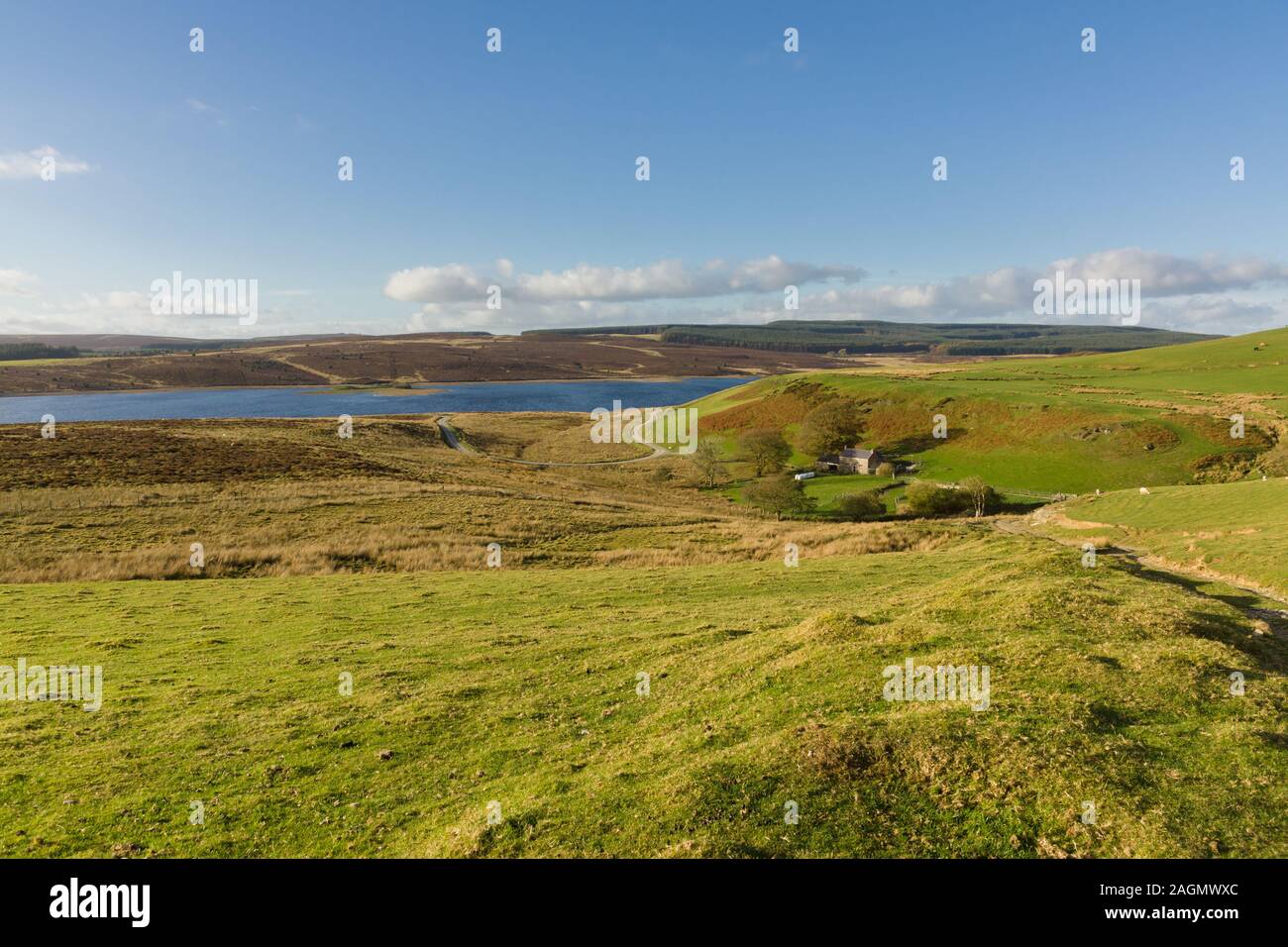 Llyn Brenig réservoir et le paysage environnant sur le Denbigh maures dans le Nord du Pays de Galles Banque D'Images