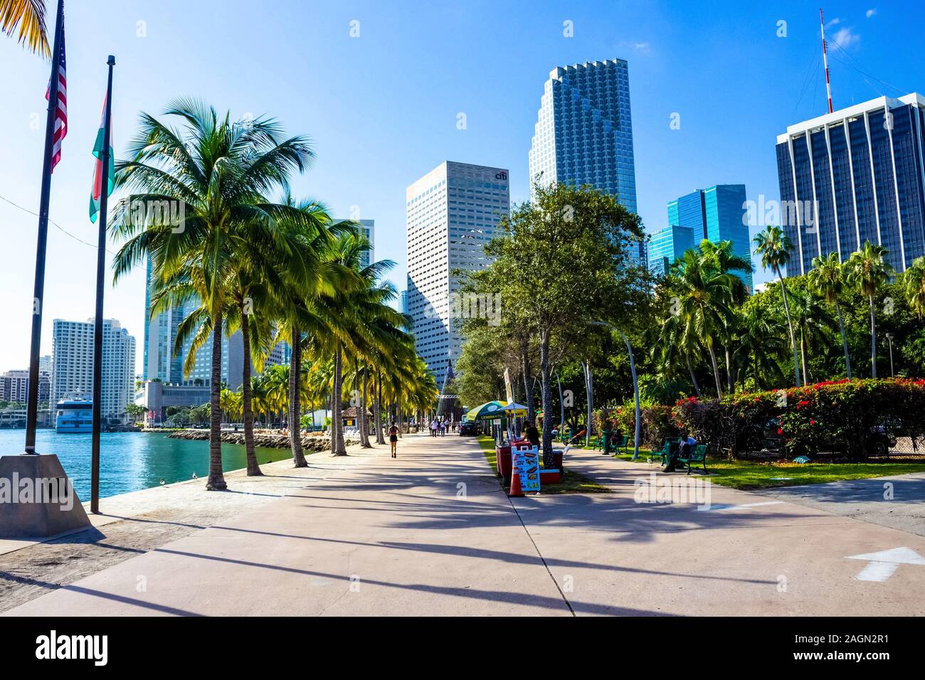 Miami, USA - 30 novembre 2019 : Début de la lumière du matin dans la région de Bayfront Park Miami Banque D'Images