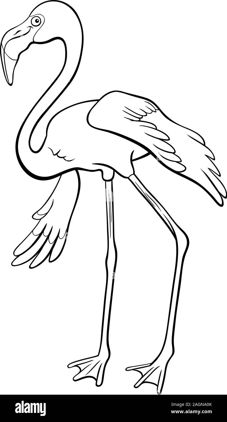 Cartoon noir et blanc Illustration de Funny Bird Flamingo personnage animal Page à colorier Illustration de Vecteur