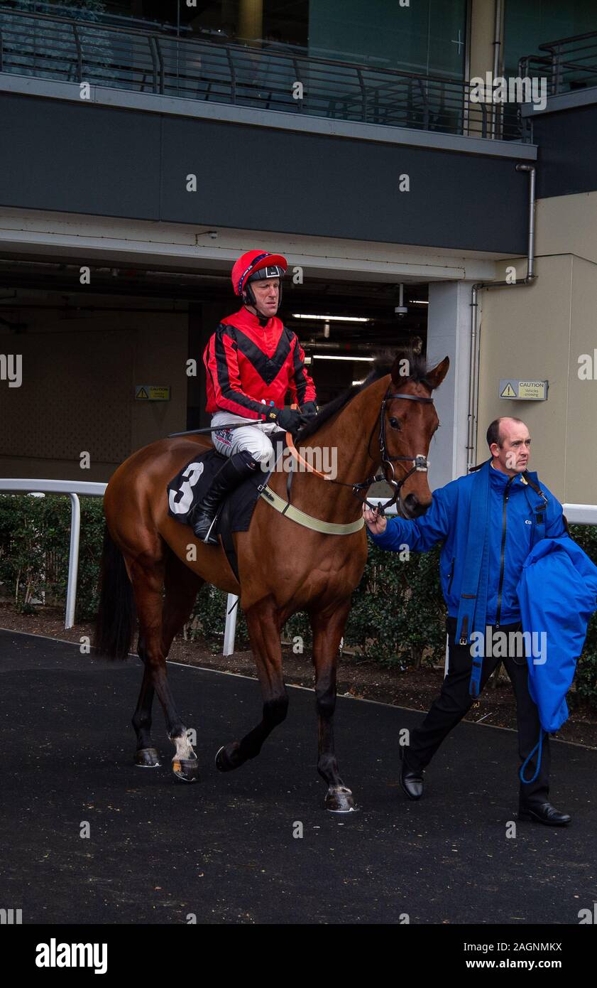 Week-end de course de la famille Noël d'Ascot, Ascot Racecourse, Berkshire, Royaume-Uni. 20 Décembre, 2019. Alimentation cheval Jockey Robbie sur Butterwick Brook avant la jeune fille Eventmasters Course de haies. Photo : Alamy/Maureen McLean Banque D'Images