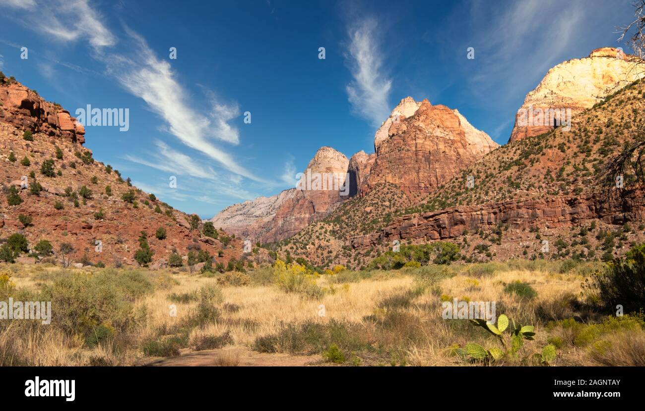 Zion National Park est une réserve naturelle du sud-ouest de l'Utah distingue par Zion Canyon est raide falaises rouges. Banque D'Images