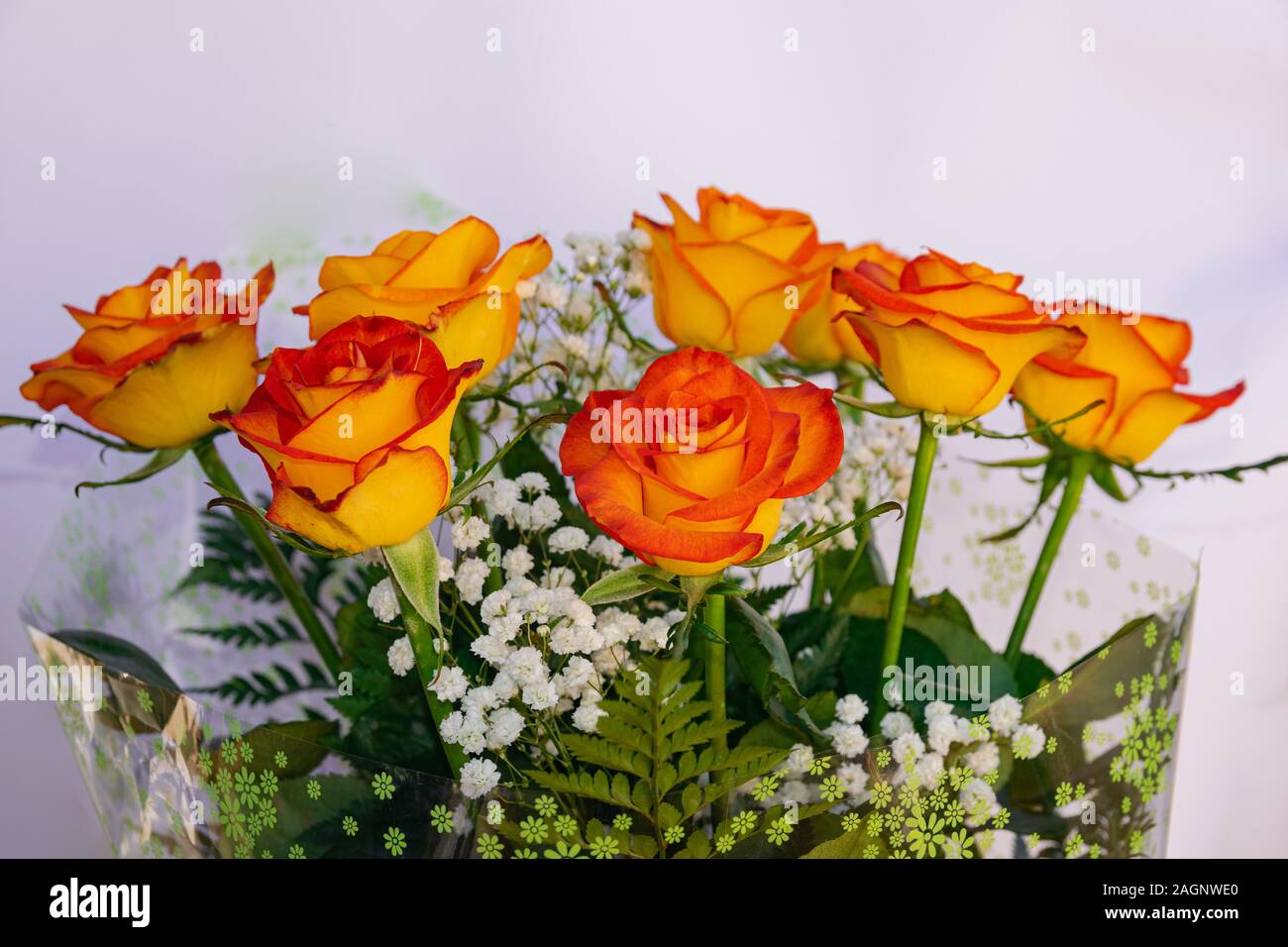 Joyeux Anniversaire Carte Avec Bouquet De Roses Orange Close Up Photo Stock Alamy