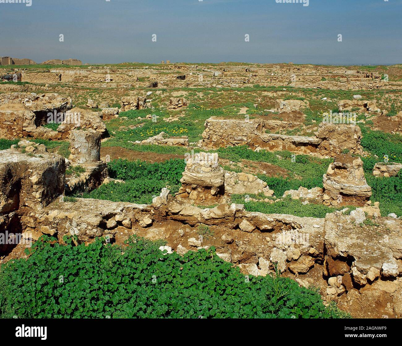 La Syrie, Dura-Europos (Salihiye dire). Ville ancienne, hellénistique, romaine et Parthe. Elle a été fondée environ 300 BC et abandonné en 256-257 AD. Ruines de l'agora. Photo historique. Il a été pillé et détruit principalement entre 2011 et 2014 par l'État islamique au cours de la guerre civile en Syrie. Banque D'Images