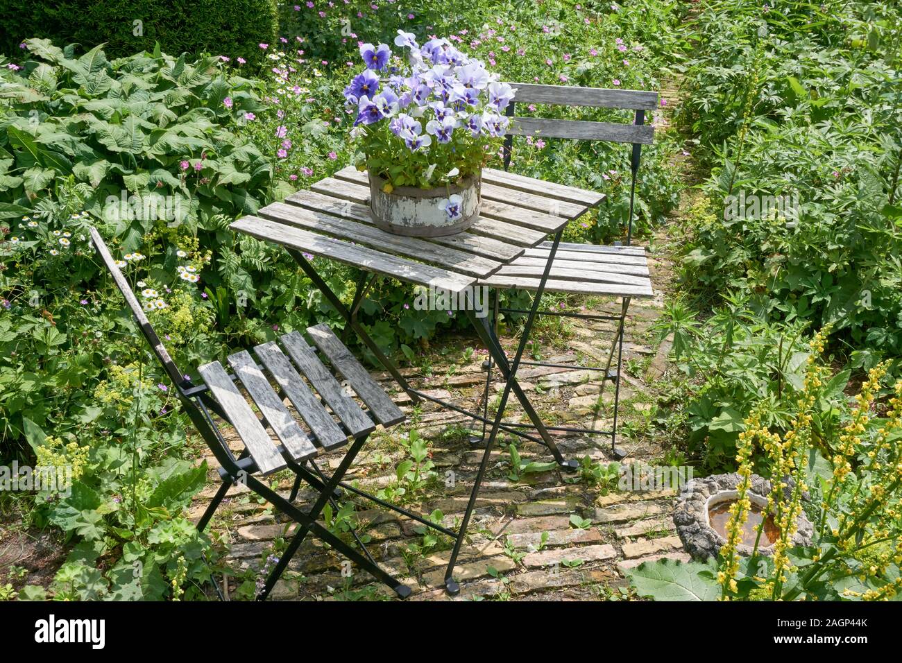 Vue de dessus sur old weathered white french bistro table et chaises dans un jardin luxuriant. Sur la table un pot de pourpre violette. Banque D'Images