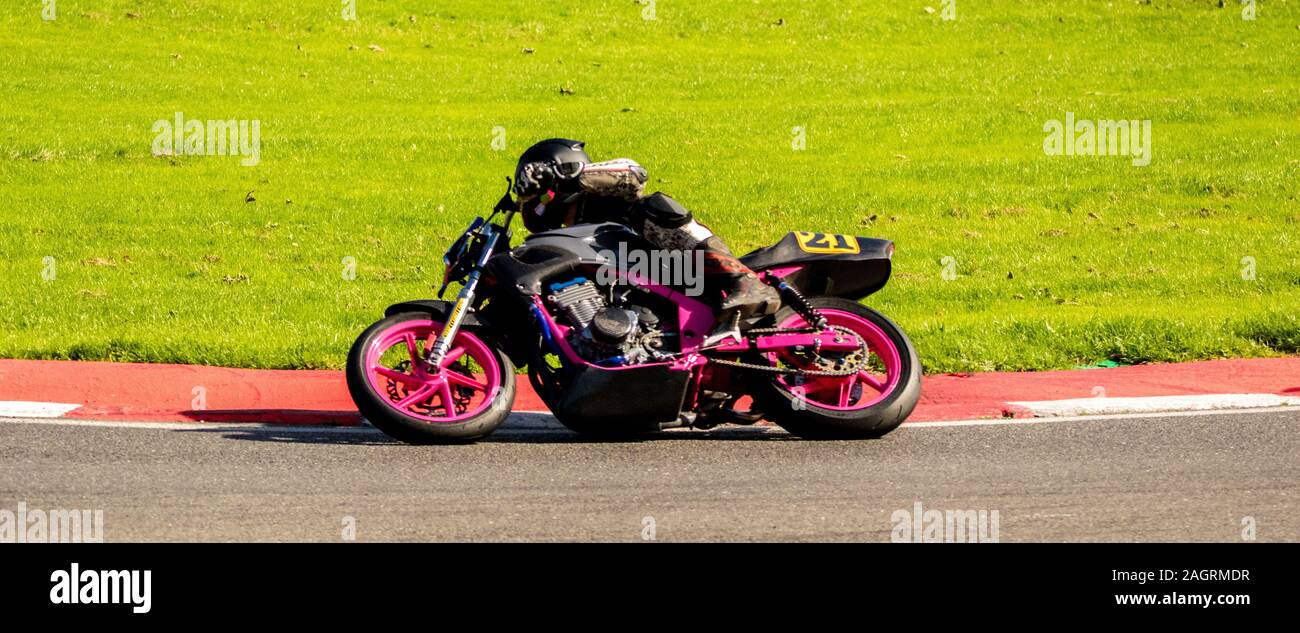 Course de Motos autour de la célèbre voie à Cadwell Park, en Angleterre, UK. Banque D'Images