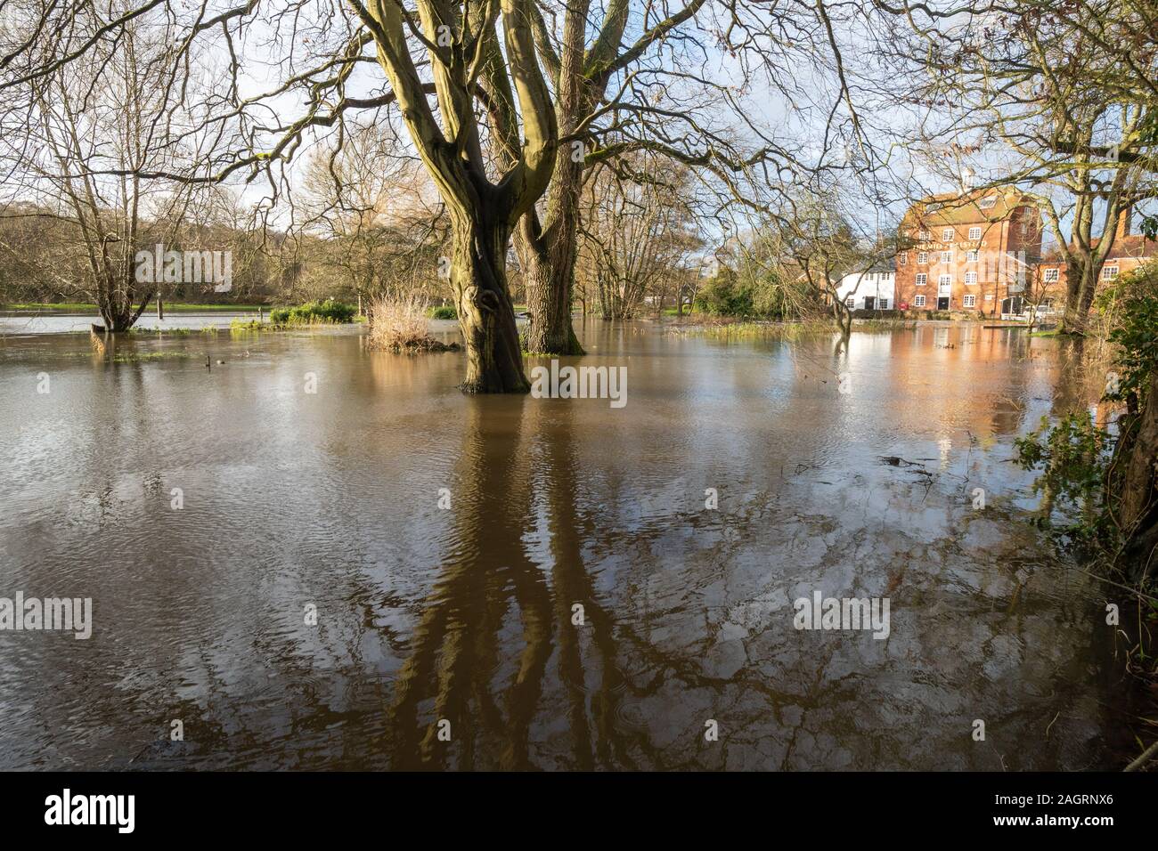 Elstead près de Guildford, Surrey, Royaume-Uni. 21 décembre 2019. La rivière Wey a fait éclater ses berges dans le vilage d'Elstead, provoquant des inondations localisées. Le populaire pub au bord de la rivière, le Mill at Elstead, est gravement touché, avec le parking entièrement sous l'eau. Banque D'Images