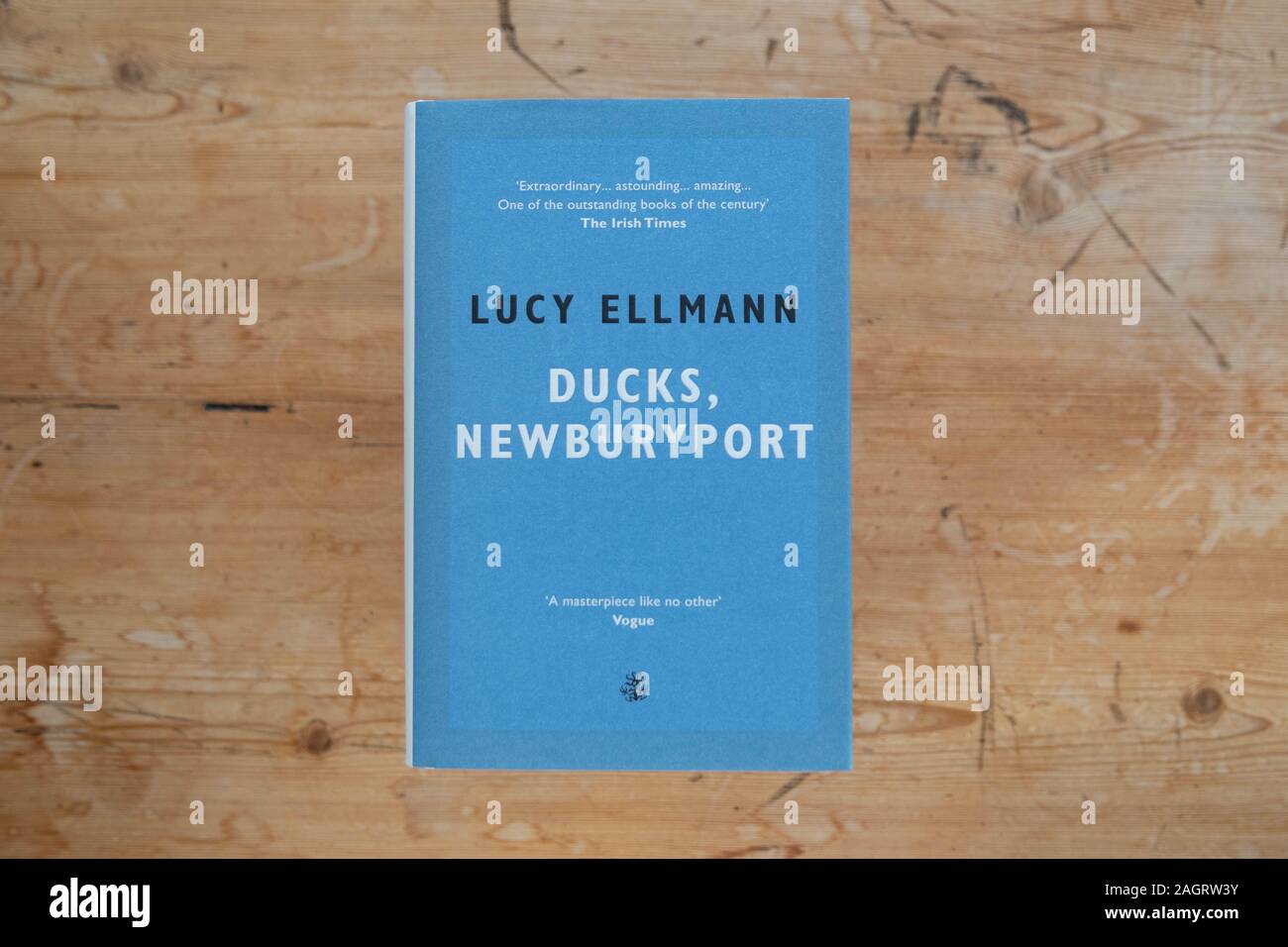 Canards, Newburyport par Lucy Ellmann publié par Gallery Press, mendiant sur Booker Prize ajouter 2019 Banque D'Images