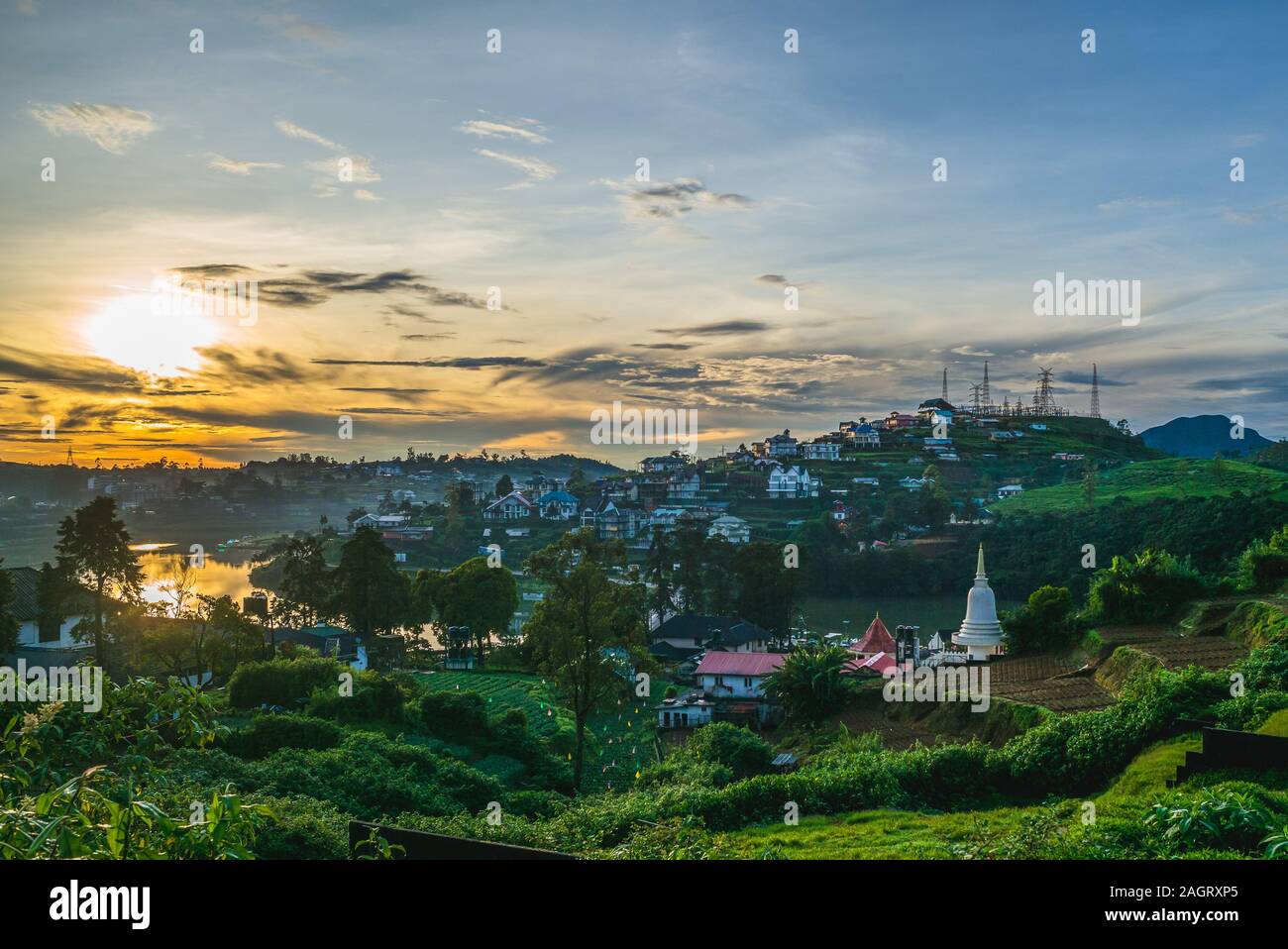 Décor de jardin de thé à Nuwara Eliya, Sri Lanka Banque D'Images